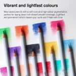 Winsor & Newton Studio Collection Artist Pencils, Color Pencils, Set of 12 - Image 5